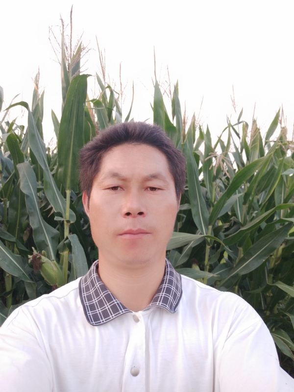 四海游龙的第一张照片--曲靖相亲服务中心