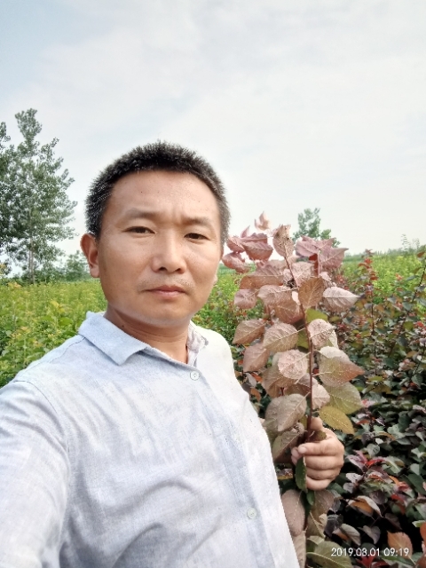 孩子爸的第一张照片--曲靖相亲服务中心
