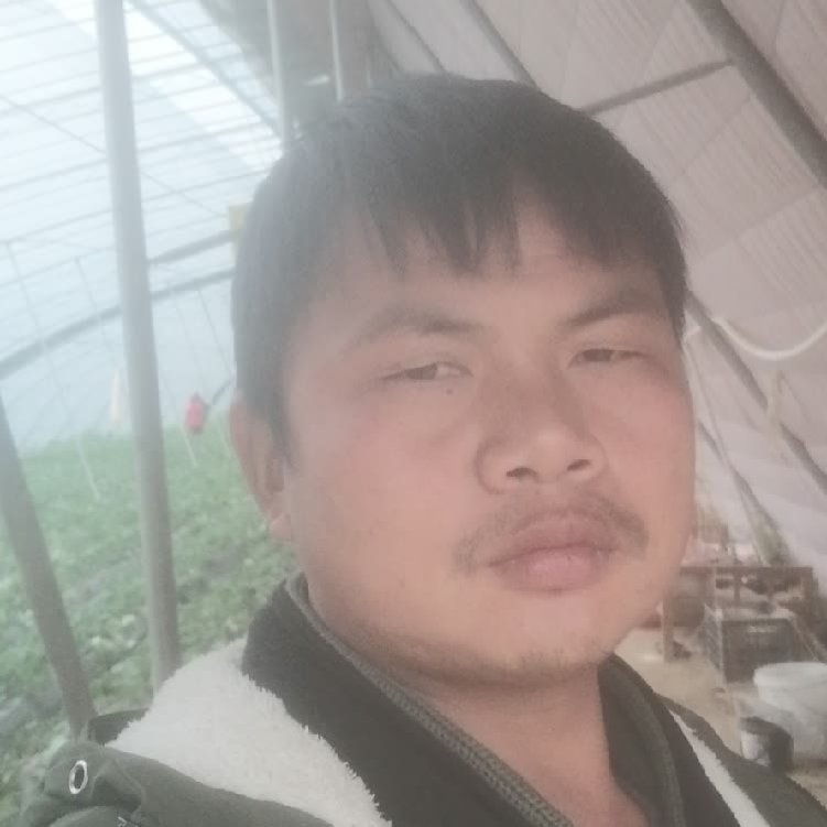 孤狼‘的第一张照片--曲靖相亲服务中心