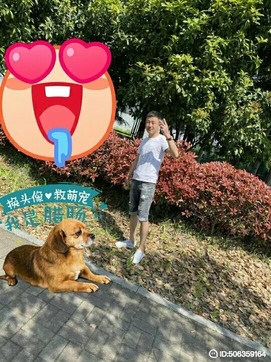 我若不坚强谁替我勇敢的第一张照片--曲靖相亲服务中心