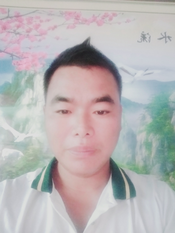 阳光男孩的第二张照片--曲靖相亲服务中心