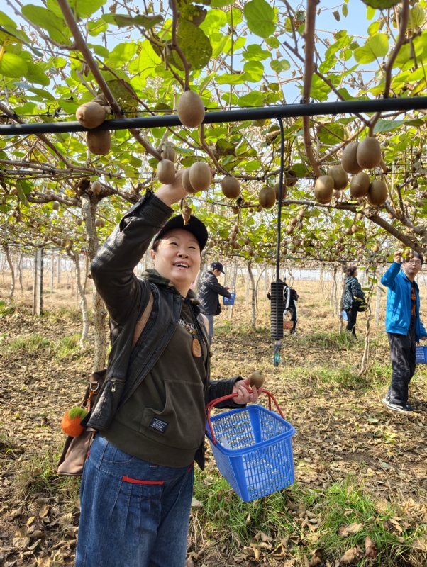 夜莺的第三张照片--曲靖相亲服务中心